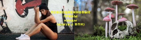 кокс Абаза