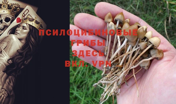 бошки Кукмор