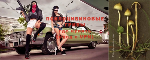бошки Кукмор