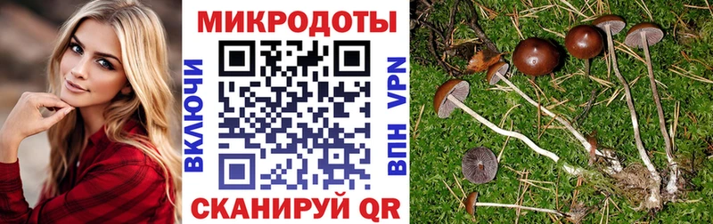 mega ссылка это формула Псилоцибиновые грибы Psilocybe где купить Тутаев